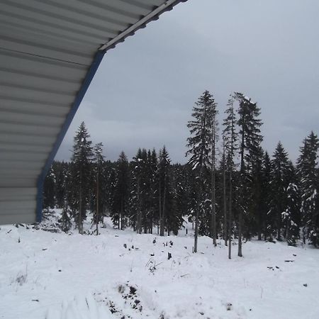 Apartman Lucija Žabljak Exteriör bild